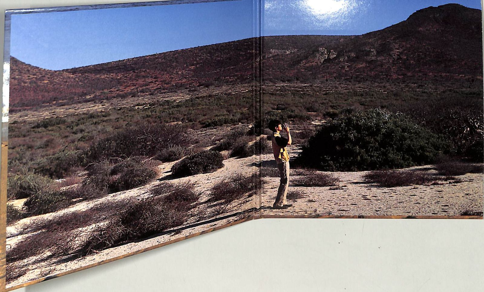 CD1枚 / 小沢健二 / 球体の奏でる音楽 / D00176957 - メルカリ