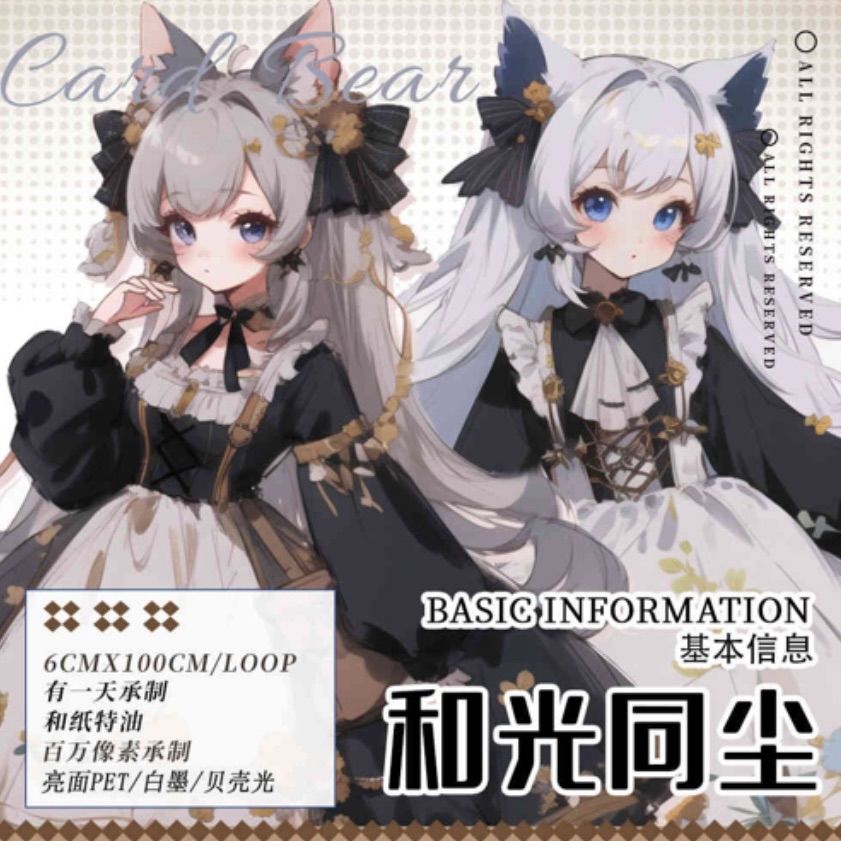 PET 6cm×10m 和光同尘 海外マスキング 海外マスキングテープ 人物