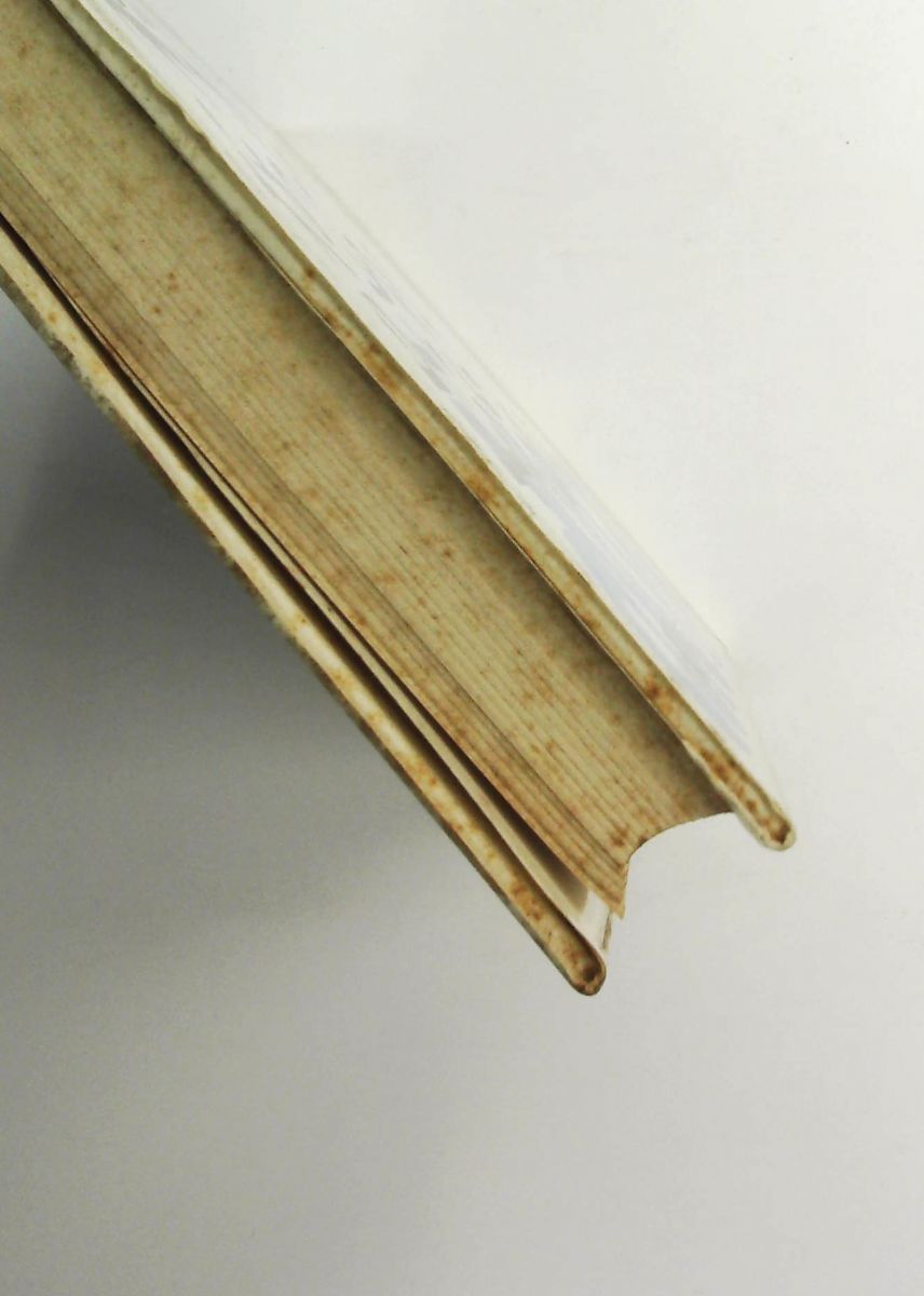 私心がないから皆が活きる