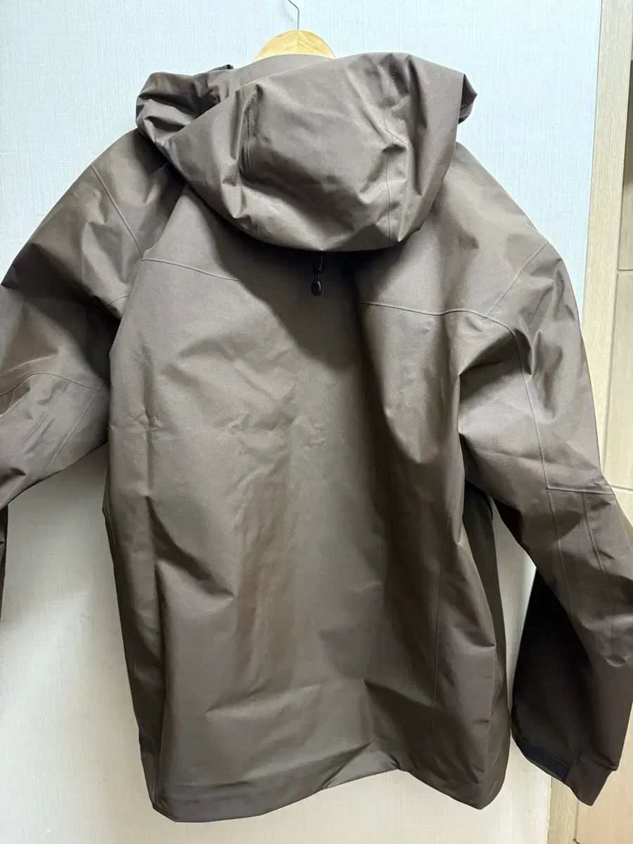  XL ARC TERYX アークテリクス アルファSV キャロッツ GORE-TEX ゴアテックス ウィンドブレーカー その他 アウター