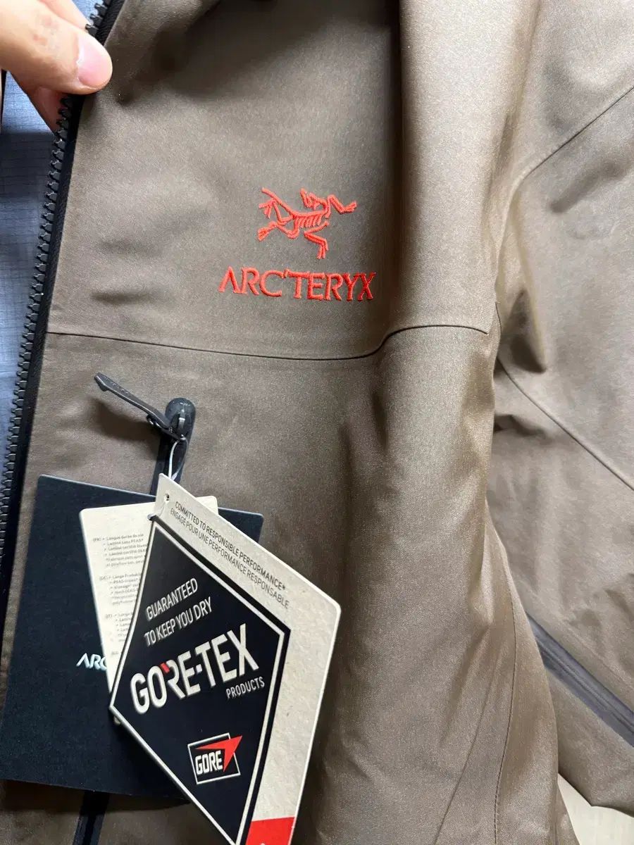 XL ARC TERYX アークテリクス アルファSV キャロッツ GORE-TEX ゴアテックス ウィンドブレーカー