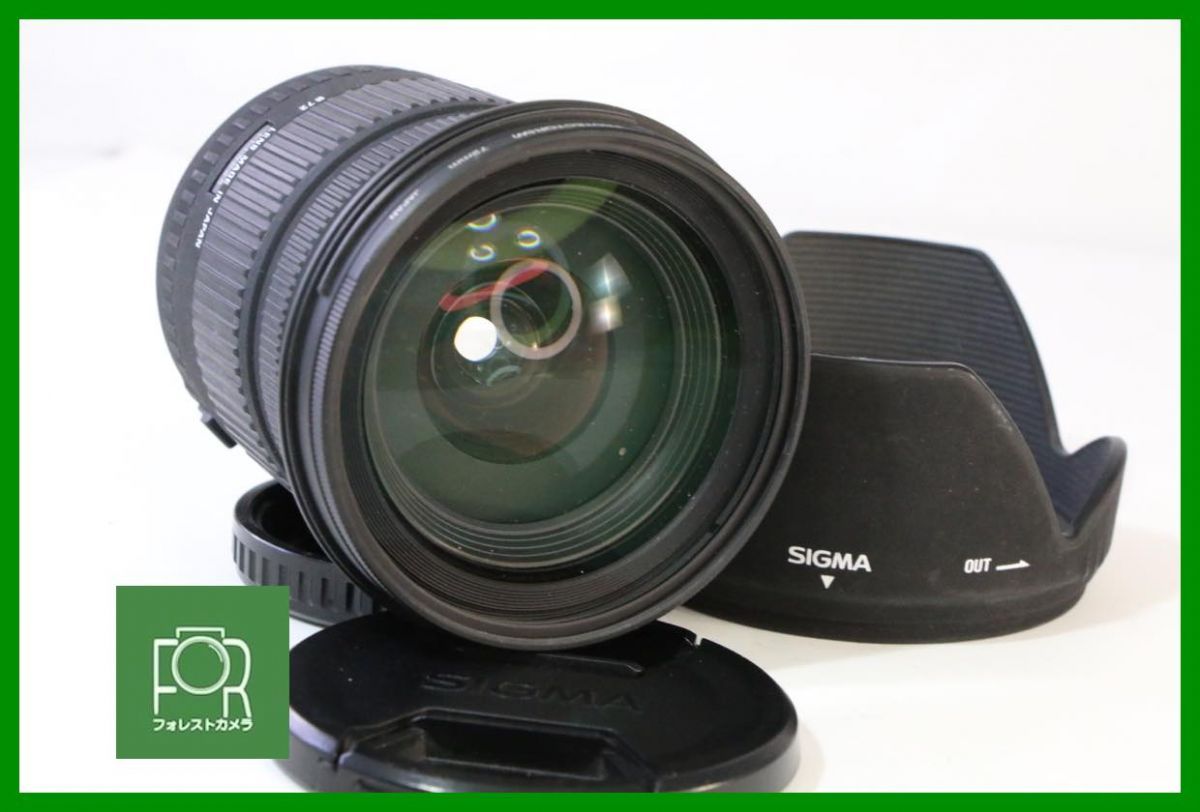 点検済 シグマ SIGMA DC 17-70 mm F 2.8-4.5 キヤノン 前後キャップ フィルター フード付き AE 197