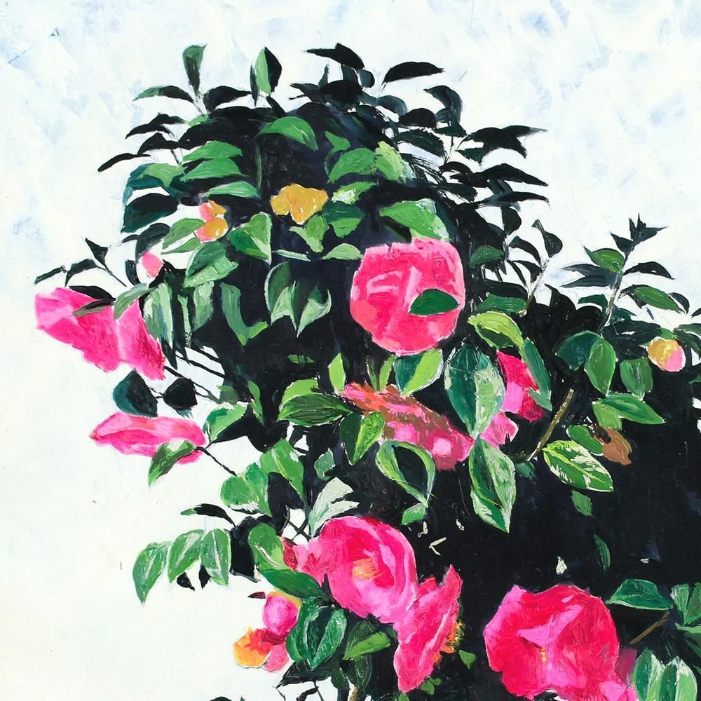 真作】【WISH】小泉正彦「椿」油彩 3号 ◇紅椿の存在感あふれる一枚 〇