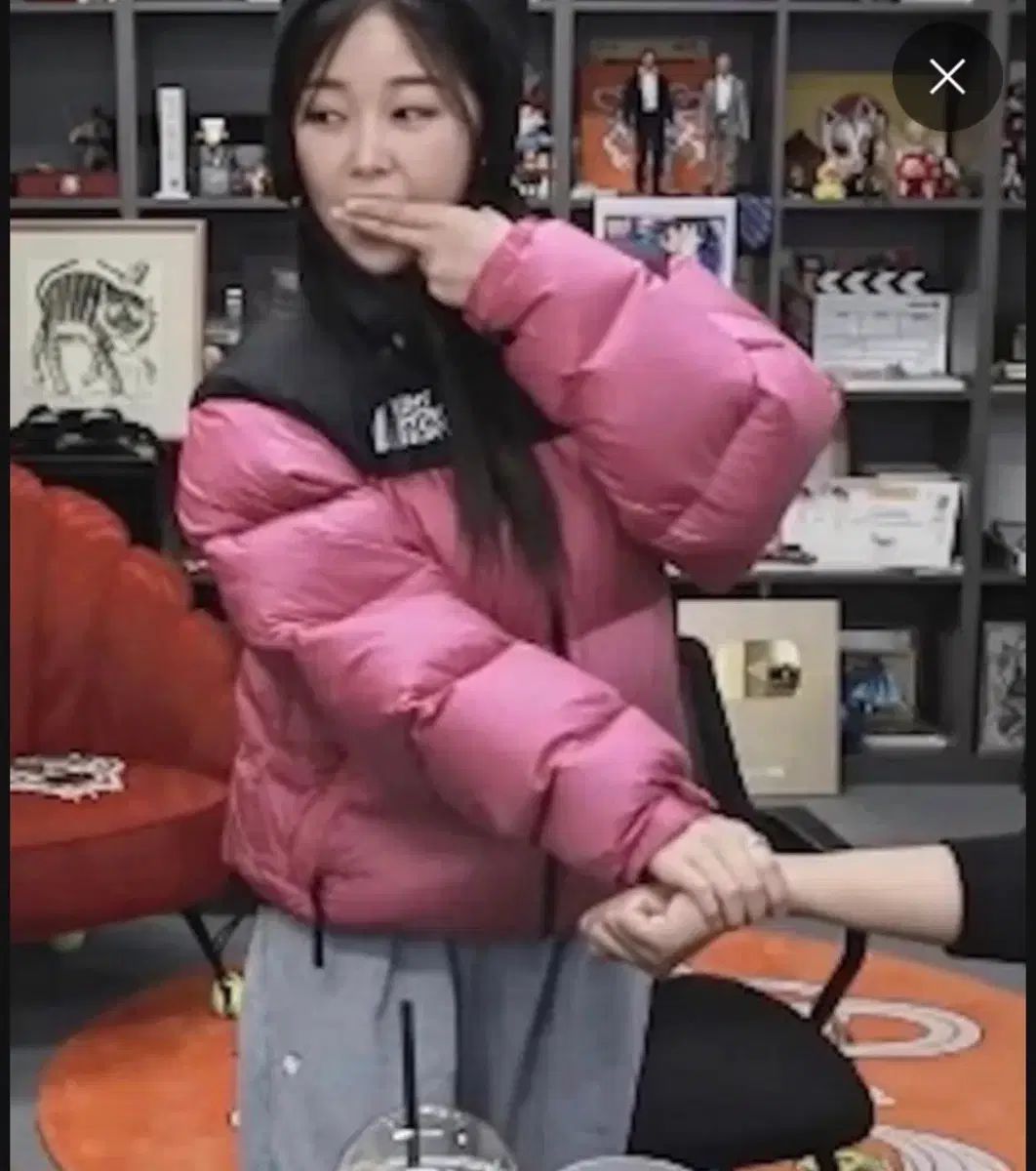 THE NORTH FACE 1996 Nuptse(ヌプシ) ダウン ピンク L - メルカリ