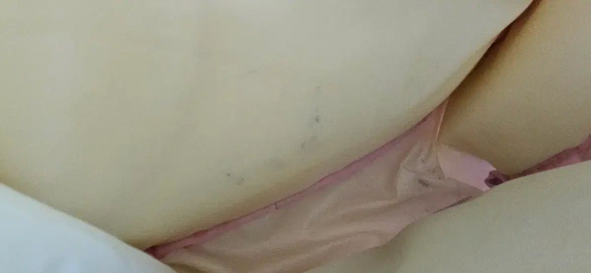 シナモロールバッグ シナモロールスティッチあんさんぶるスターズ