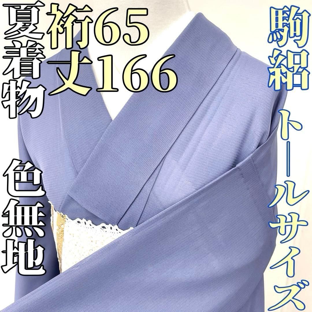 着物と帯 時流 SK 25749 s 正絹 夏着物 色無地 駒絽 トールサイズ