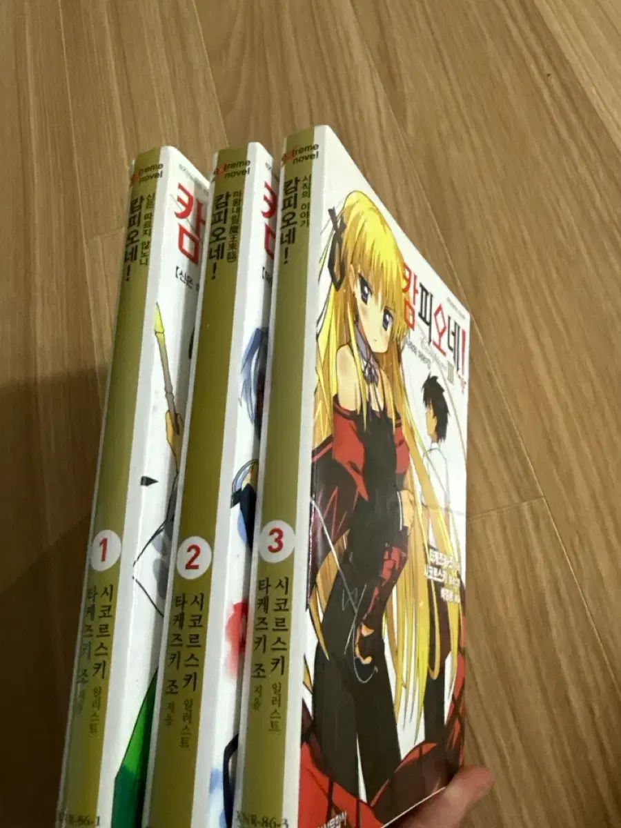 カンピオーネ 小説 1-3巻 セット