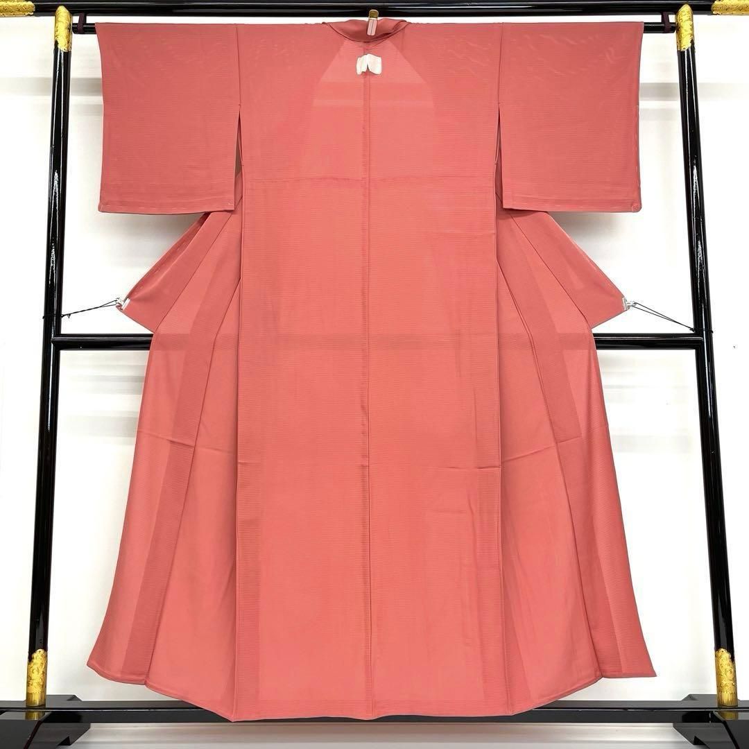 着物と帯 時流 SK 25745 s 正絹 夏着物 色無地 絽