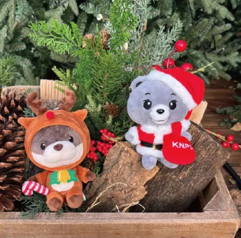 国立公園 サンタ バンダル トナカイ ダルコンイ バッグ ガール セット