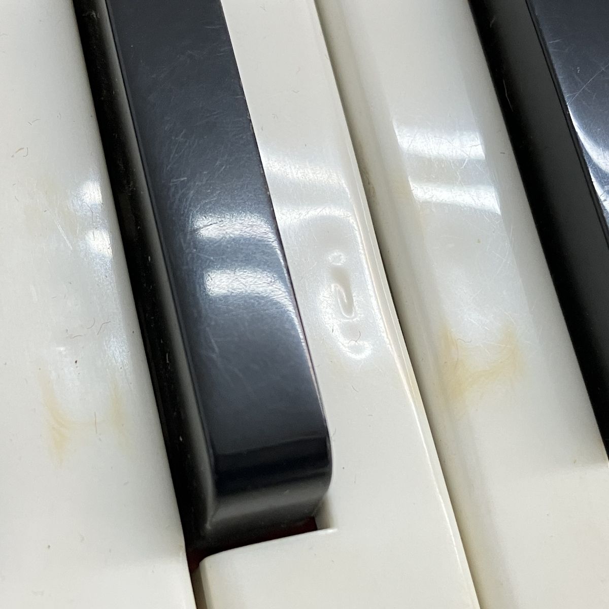 48ベース ケース付き