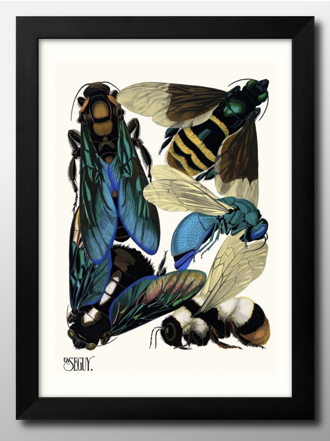 10748エミール=アラン セギー 昆虫 図鑑 A3 サイズ ポスター アート