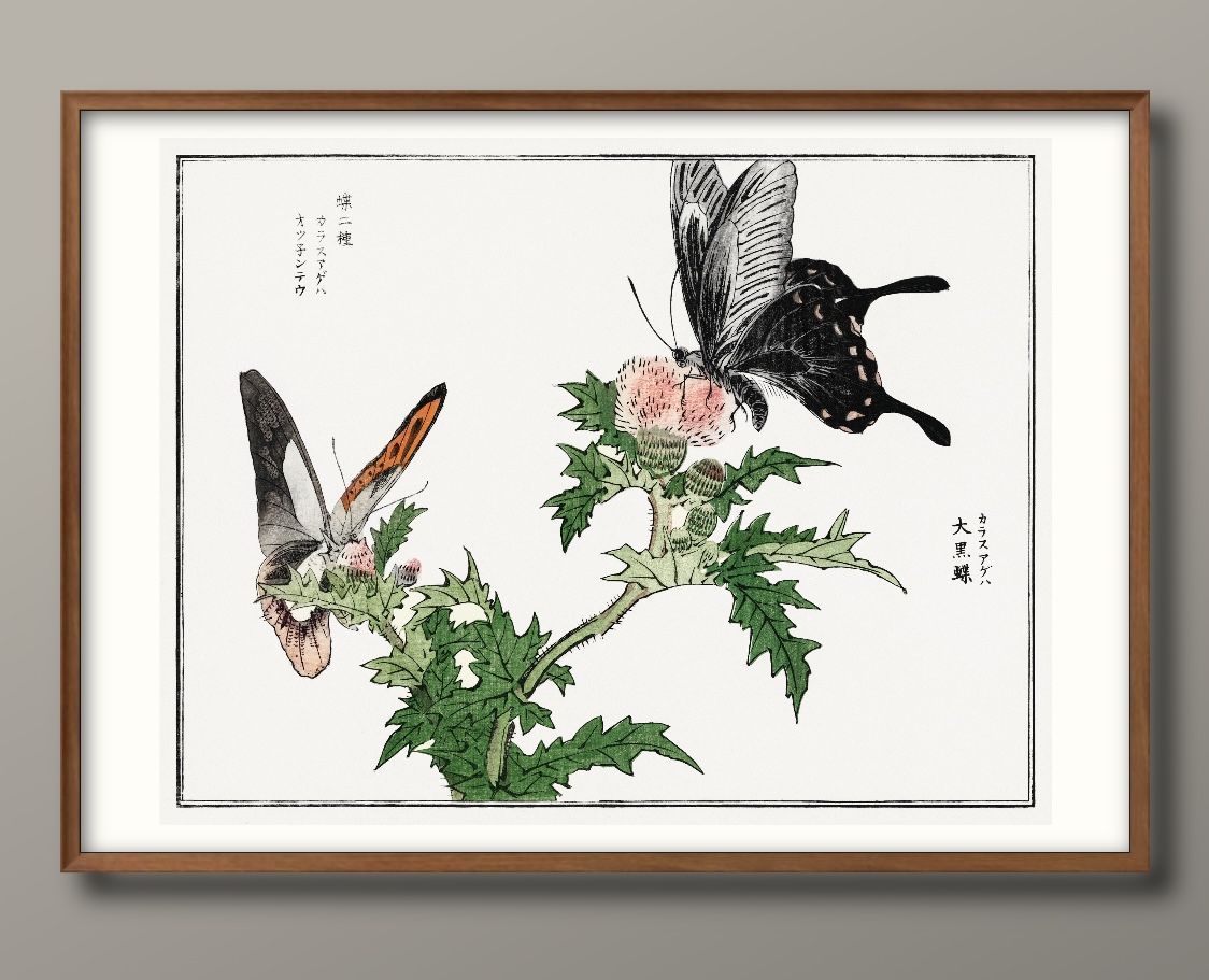 10865森本東子 アゲハ蝶 黒アゲハ A3 サイズ ポスター アート おしゃれ