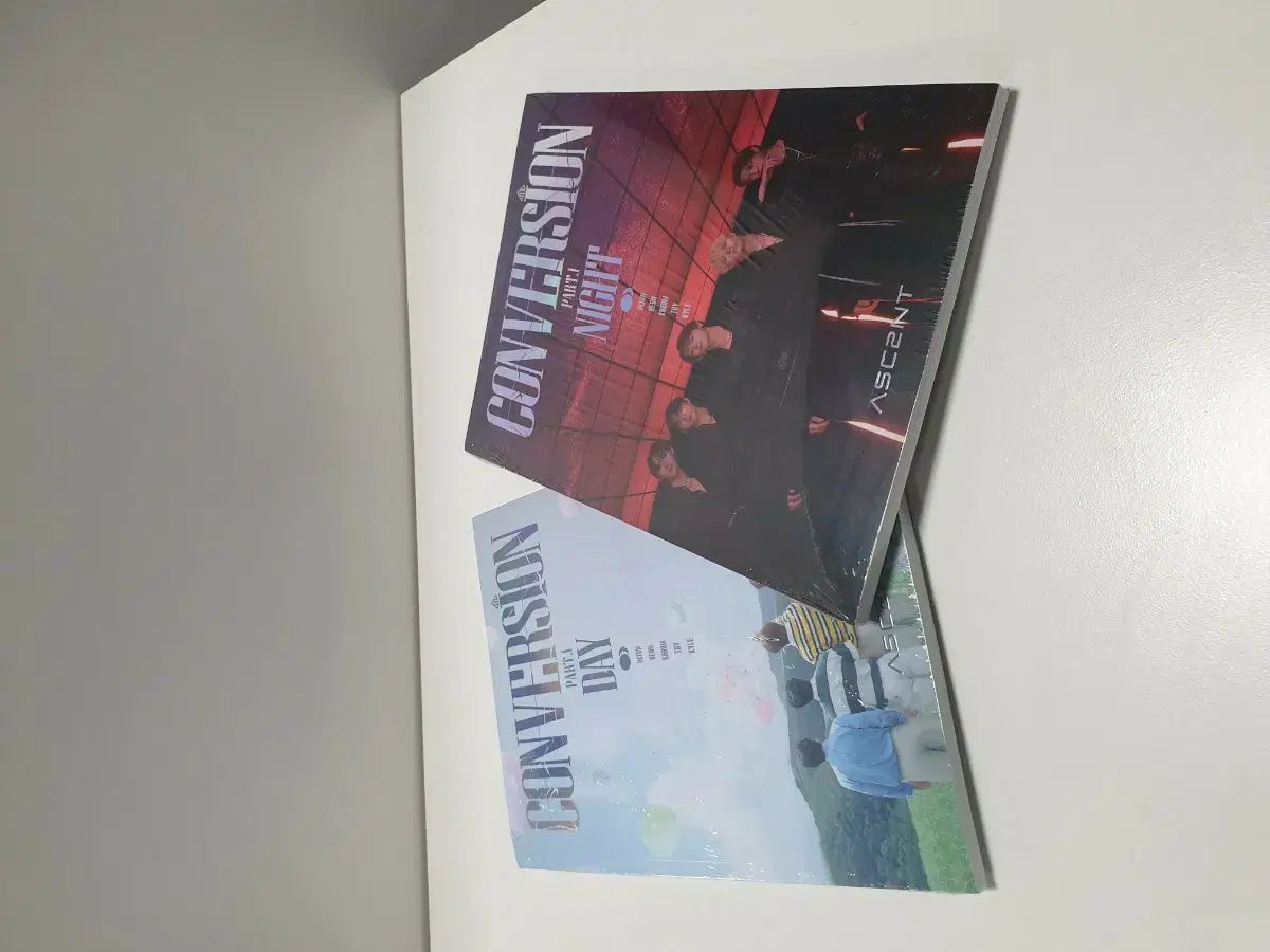 アートドール 浅草 保証書つき 猫