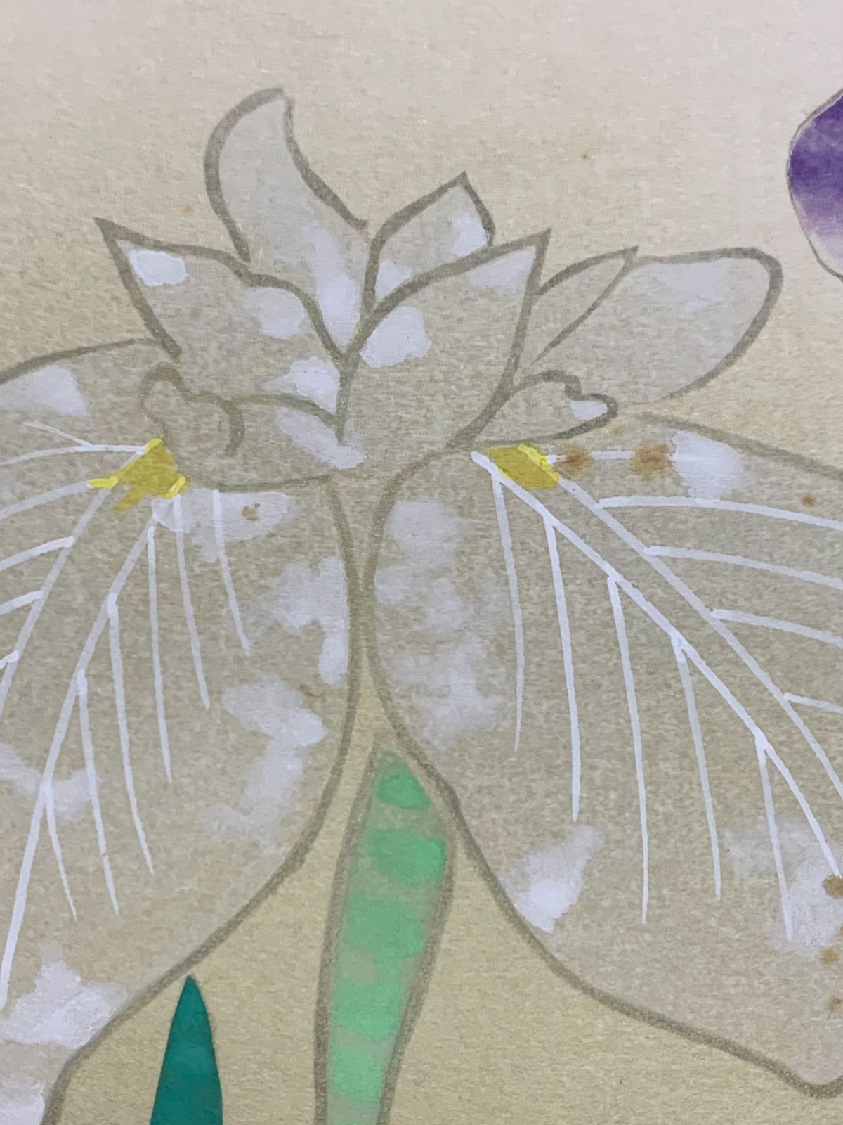 美術品・アンティーク・コレクション 【掛け軸】199 奥村土牛「花菖蒲 美術品・アンティーク・コレクション 【掛け軸】199 奥村土牛「花菖蒲