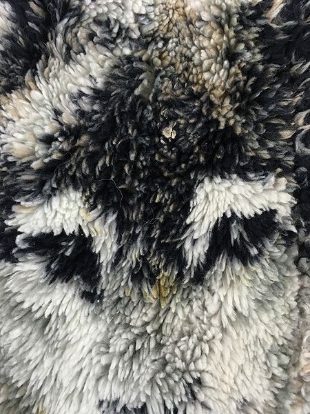 古着 90s USA製 Cobblestone Canyon オオカミ ウルフ アニマル