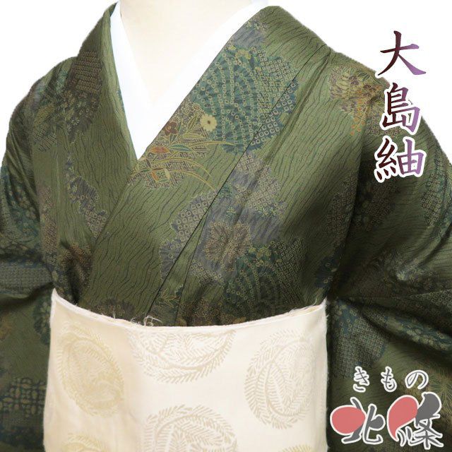 大島紬 着物 正絹 袷 カジュアル 絞り模様 雪輪に花模様 老竹色 多色 身丈164.5 cm 裄68.5 L きもの北條 A 1304-9