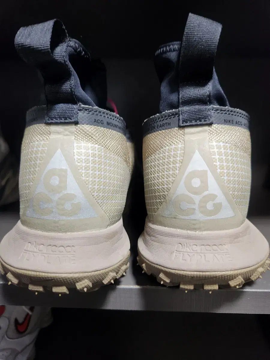 ナイキ ACG マウンテン フライ ゴアテックス 255 mm