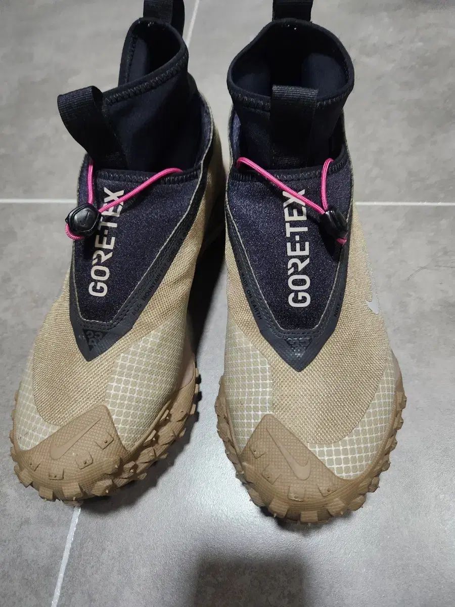 ナイキ ACG マウンテン フライ ゴアテックス 255 mm