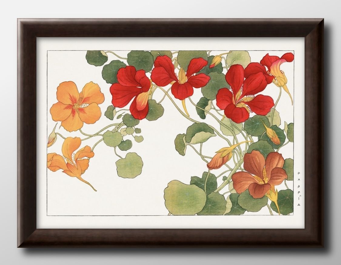 14774花 フラワー ボタニカル 谷上広南 西洋草花図譜 日本画 A3 サイズ