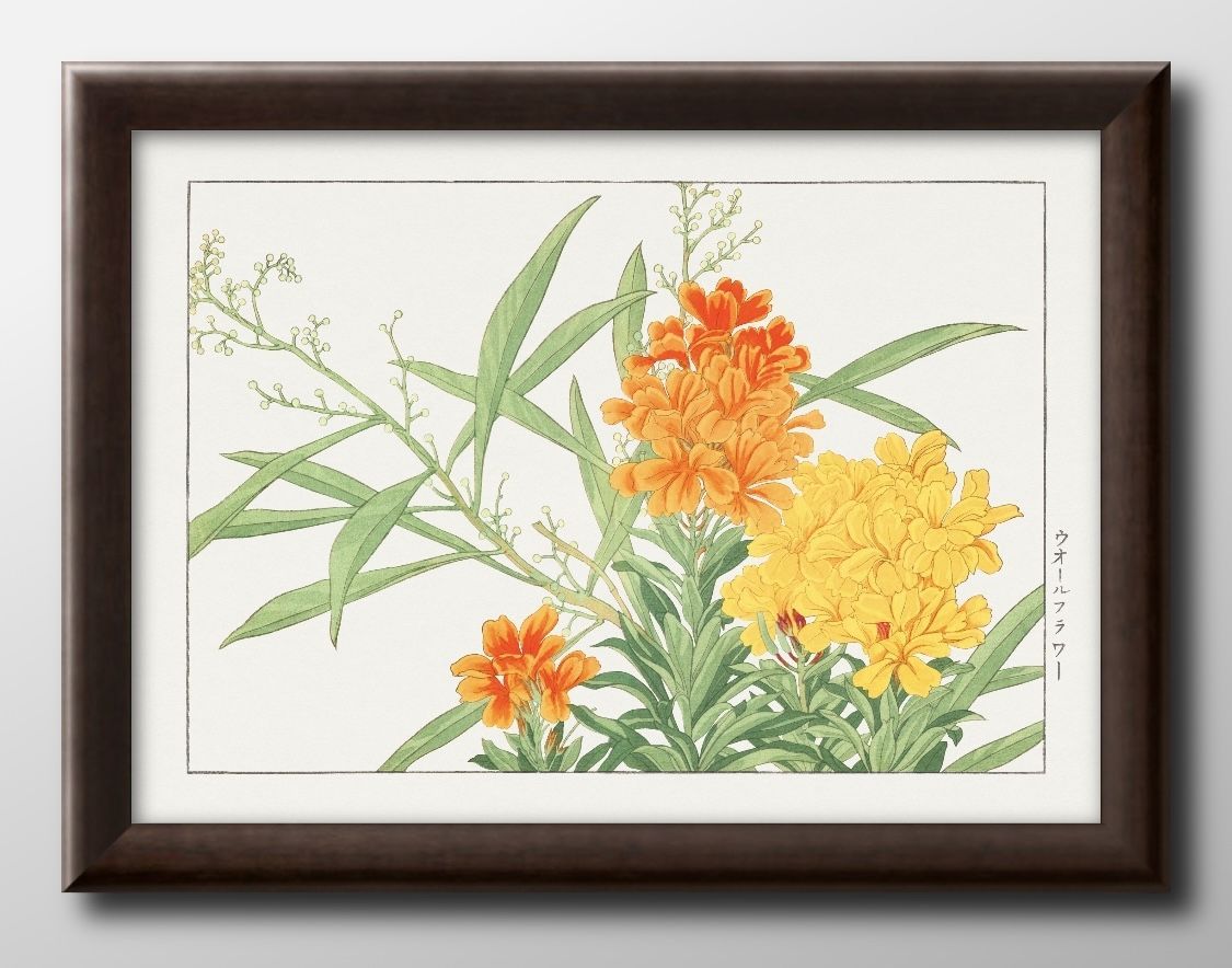 14783花 フラワー ボタニカル 谷上広南 西洋草花図譜 日本画 A3 サイズ