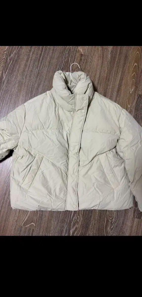 シーシックコレクトダウン