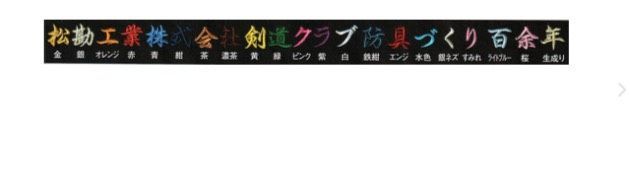 剣道 竹刀袋 冠 KENDO竹刀ケース｜軽量 丈夫 ショルダー付き ブランドケース