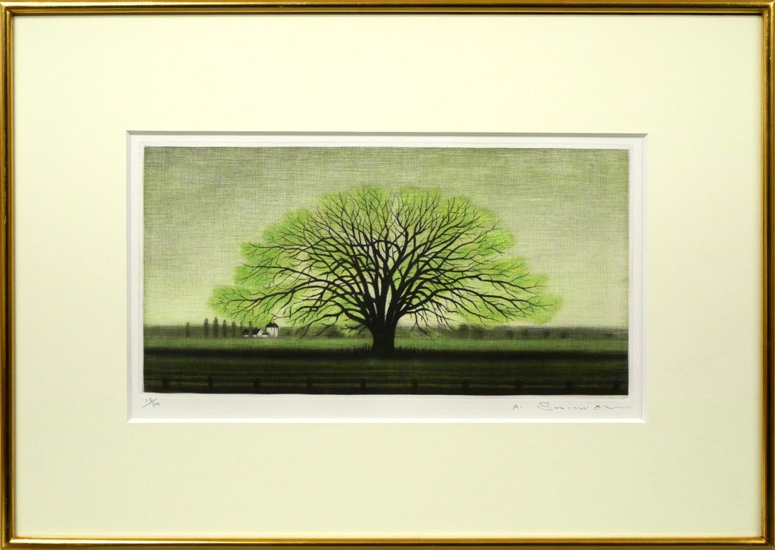 清水 敦 はるにれ 銅版画 メゾチント サイン入り 個展多数 熟達したメゾチント技法で表現 小竹美術