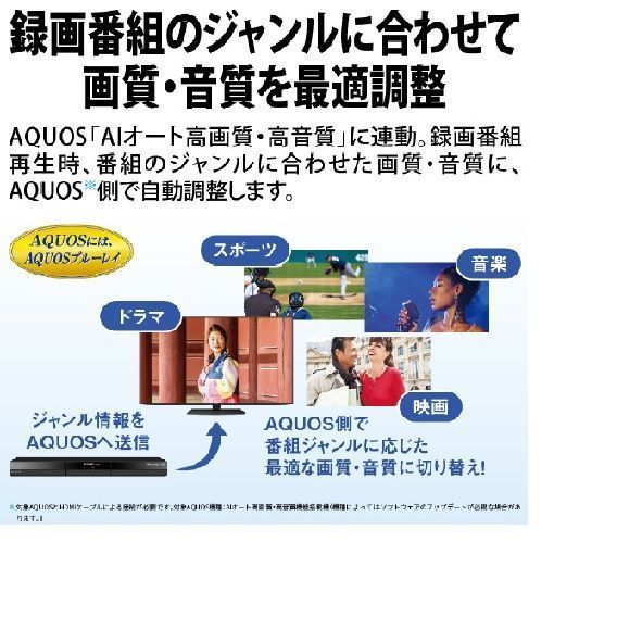  04172 SHARP 2 TB HDD内蔵ブルーレイレコーダー AQUOS B C 20 GT 1 HDDレコーダー レコーダー