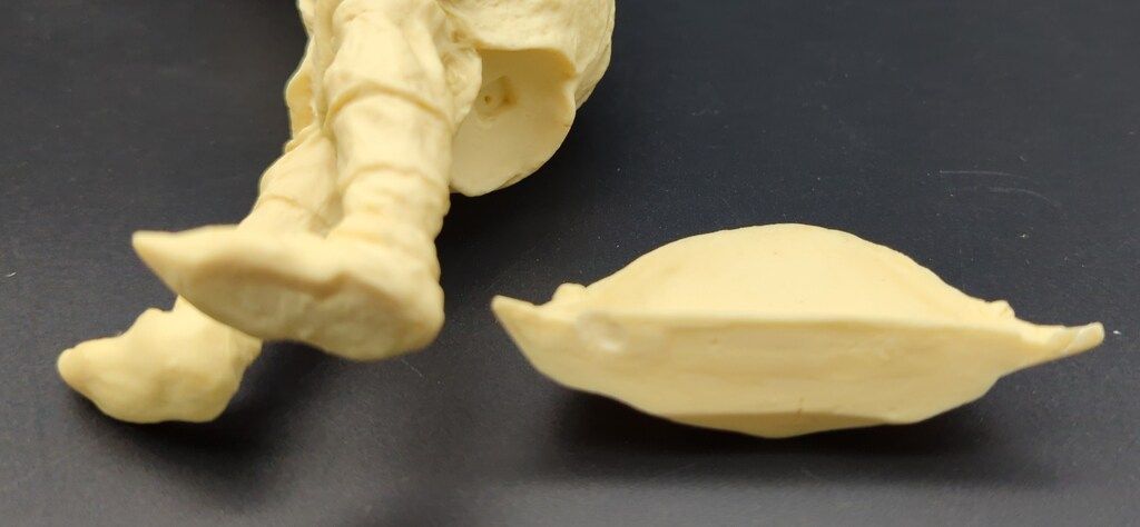 ボークス/VOLKS JrウルトラQスペシャル/オリエントヒーロー 原型 圓句