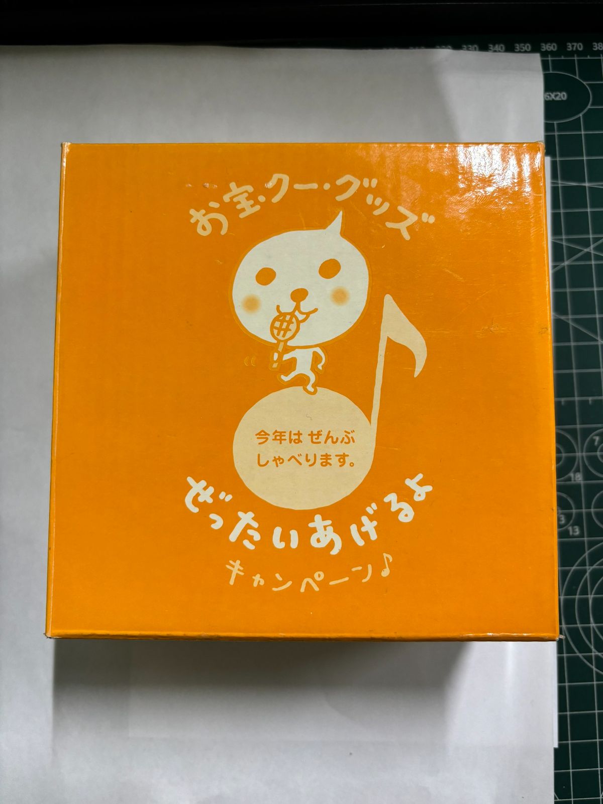 MR 01606 Qoo しゃべるカメラ