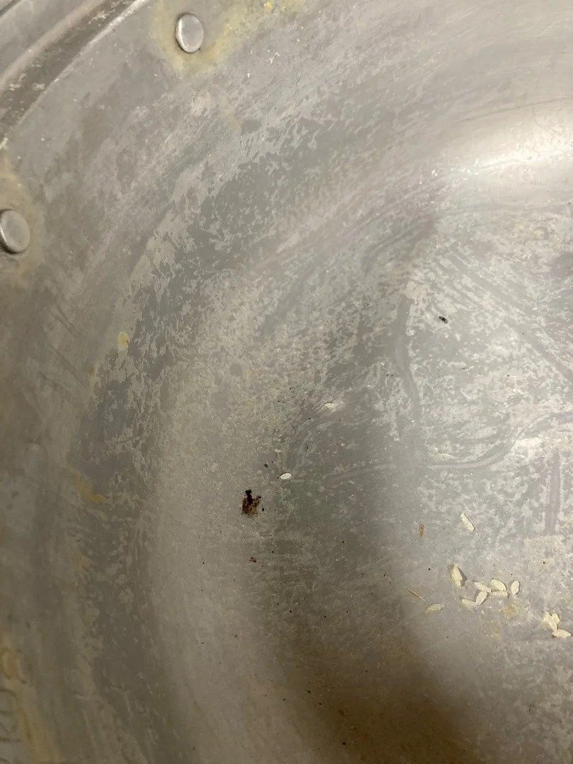  Rinnai リンナイ ガス炊飯器 RR 50 S 1 LPガス 5 6升 大容量 業務用 家庭用にも 炊飯器 炊飯器 餅つき機