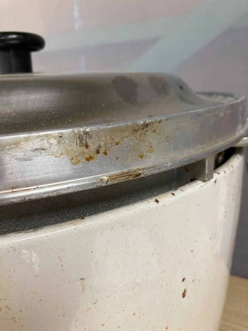 Rinnai リンナイ ガス炊飯器 RR 50 S 1 LPガス 5 6升 大容量 業務用 家庭用にも