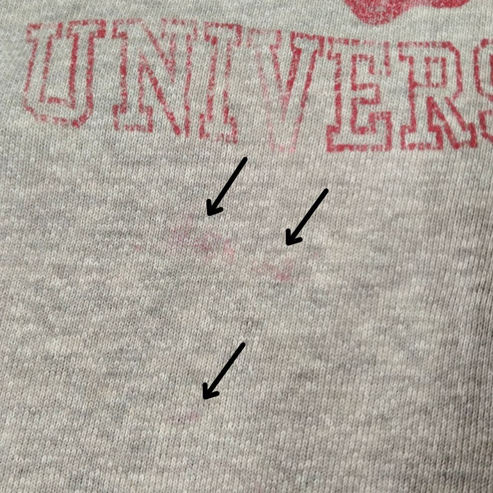 HANES ヘインズ ヴィンテージ 50s WIND SHIELD WISCONSIN カレッジロゴ