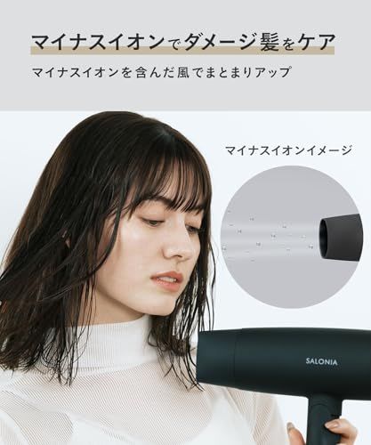  SALONIA サロニア スピーディーイオン ドライヤー 大風量 速乾 軽量 マイナスイオン ヘアドライヤー SL-013 GR グレー ドライヤー ヘアドライヤー