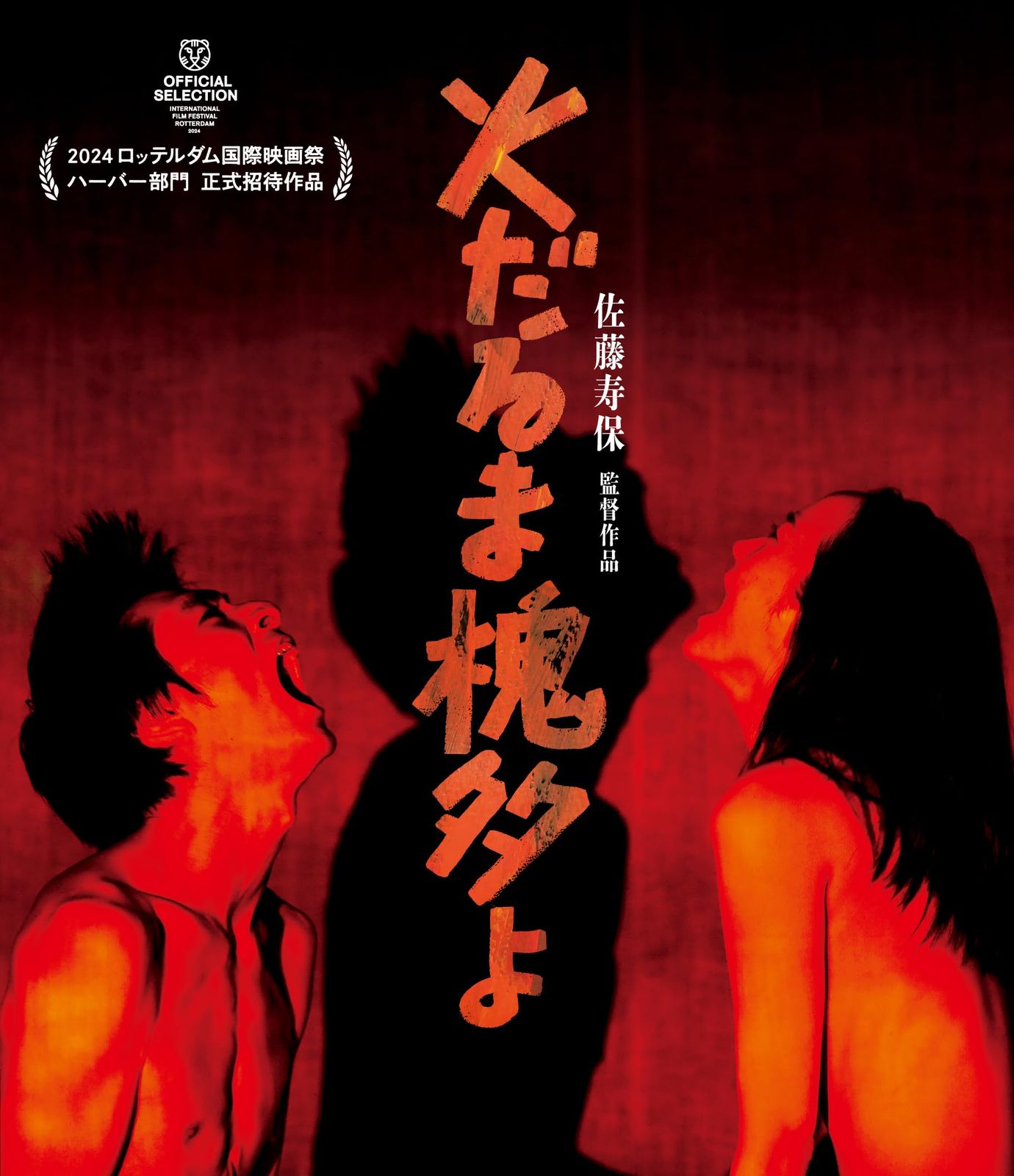 火だるま槐多よ Blu ray 品