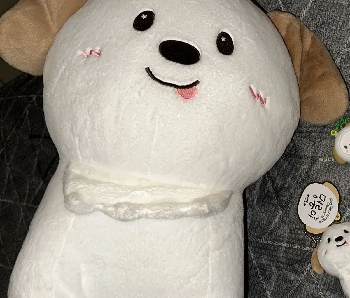 멍룡이 40 cm アントン ソンチャン ソヒ ウンソク タロット ウォンビン