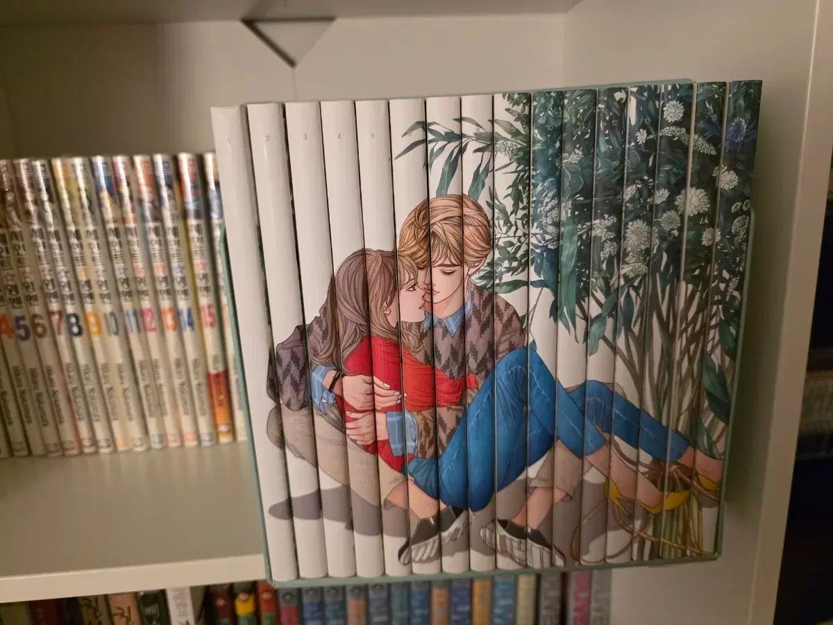 フールハウス ボックスバージョン 出品