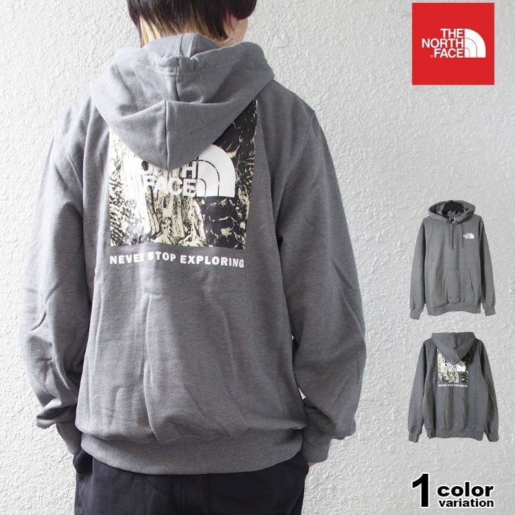 ノースフェイス パーカー プルオーバー THE NORTH FACE Lunar New Year Snake Print Hoodie  スウェット プルオーバーパーカー 裏起毛 メンズ レディース NF0A8BY5 ノースフェイス パーカー THE NORTH FACE スウェット プルオーバー