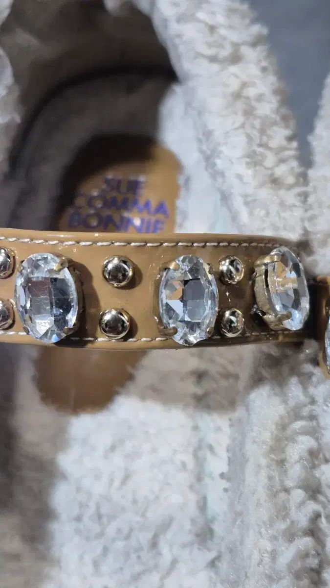 シューコンマボニー