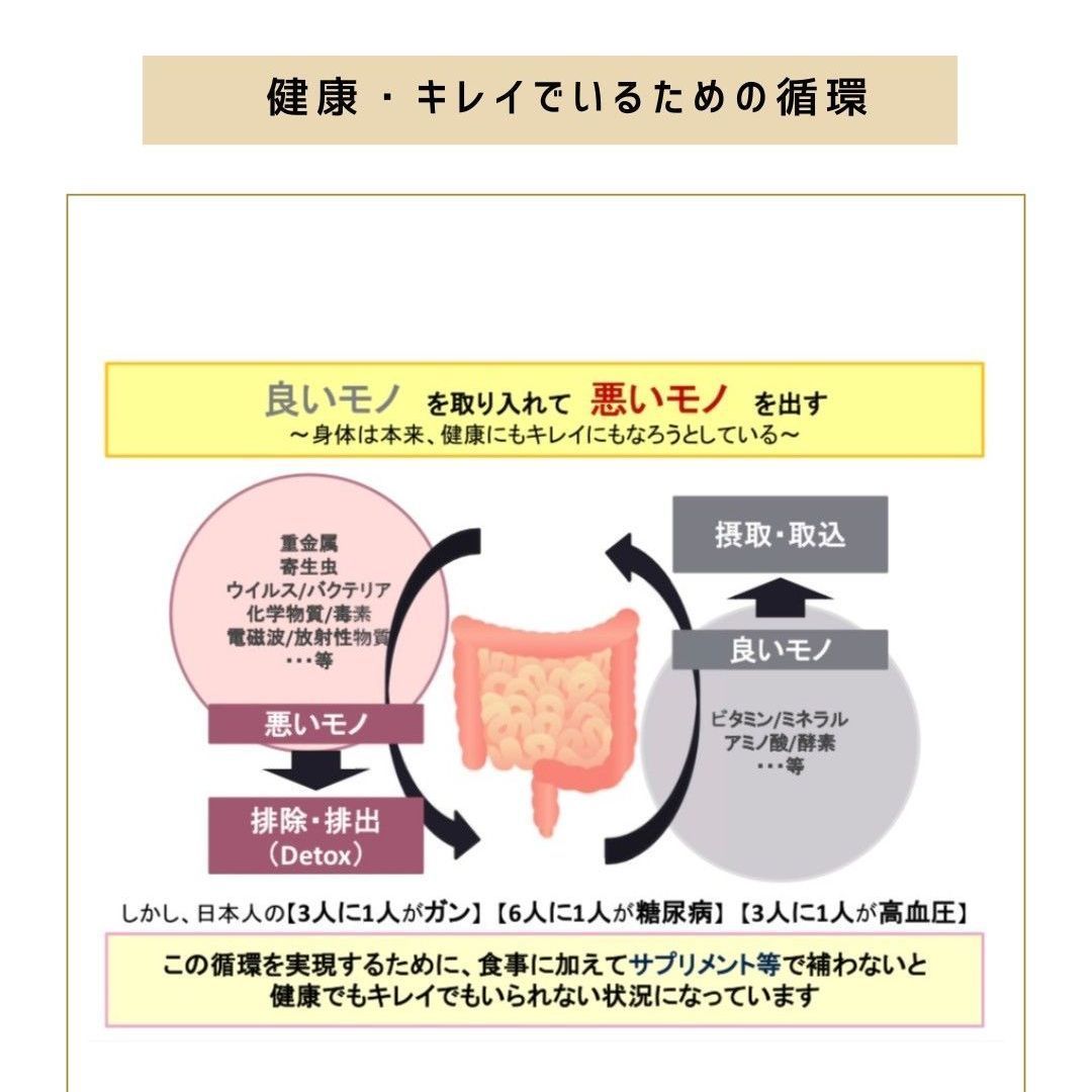 2つセット エキストリッチビオティ