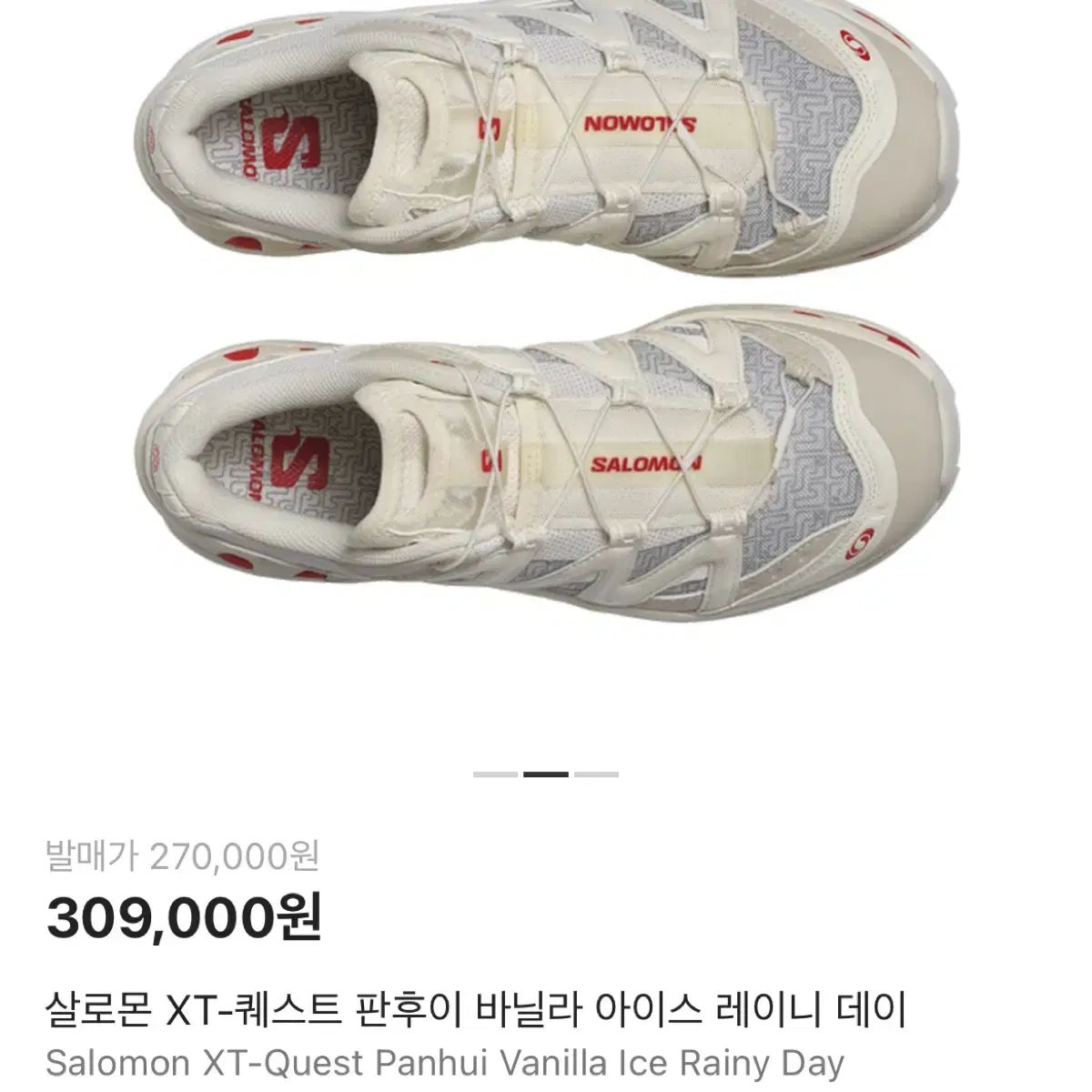 240 SALOMON xt quest 판후이 バニラ アイス レインデー