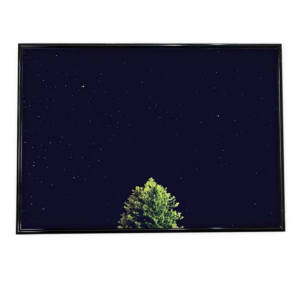 有田焼 林斎 万暦赤 回転オードブル21点 三叉プレート 扇子皿 手巻き