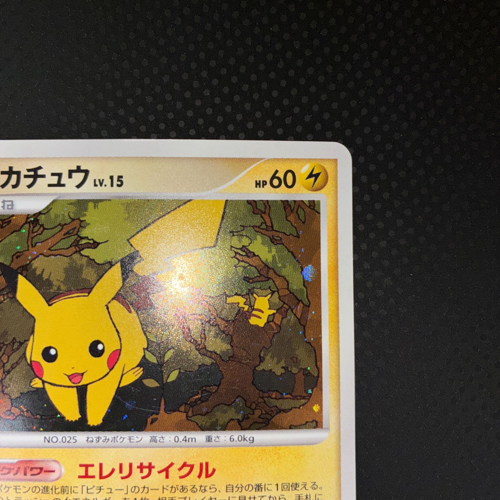 状態A ピカチュウ エレキリサイクル ショップ プロモ dpp ピカチュウ