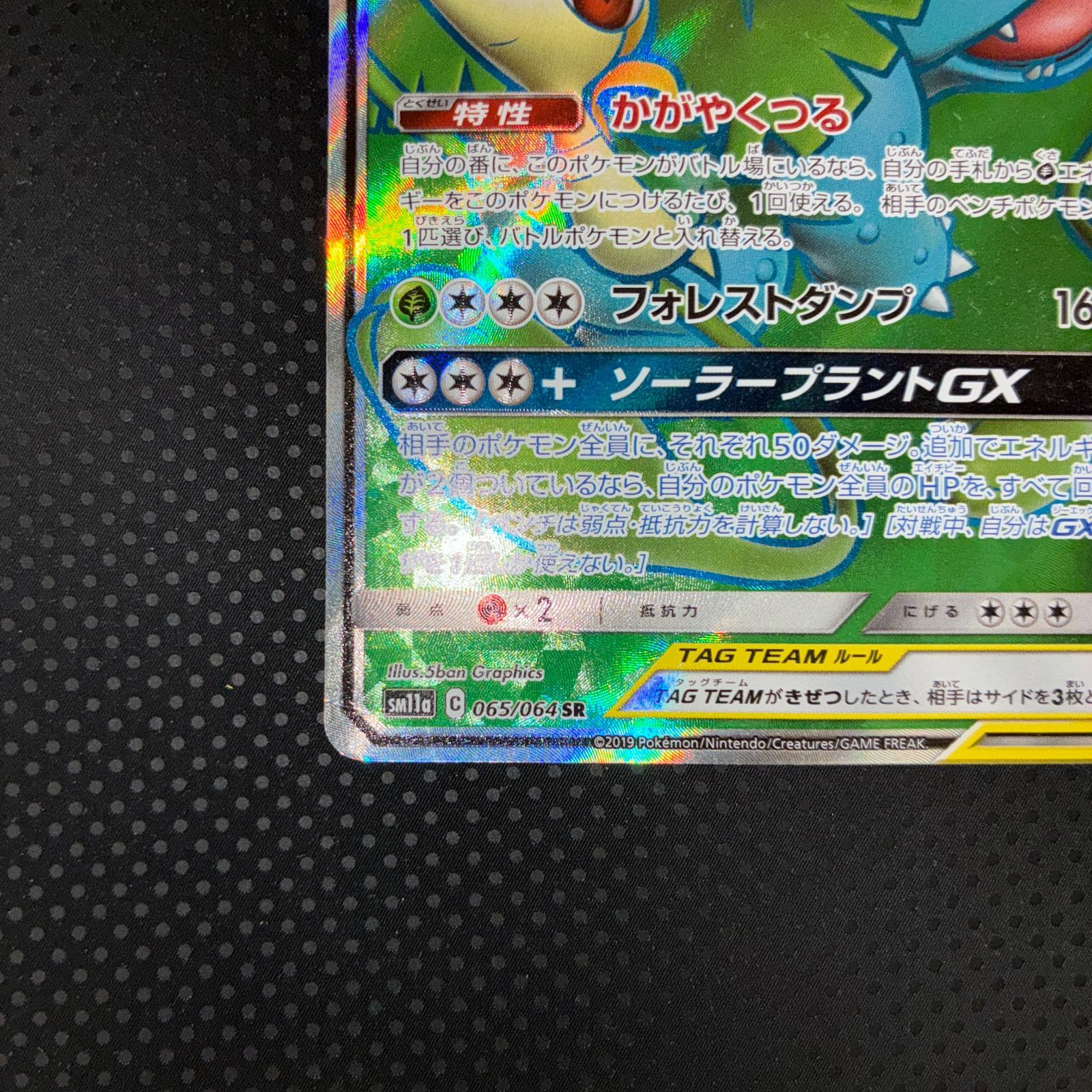 状態B フシギバナ＆ツタージャGX TAG TEAM SR - メルカリ