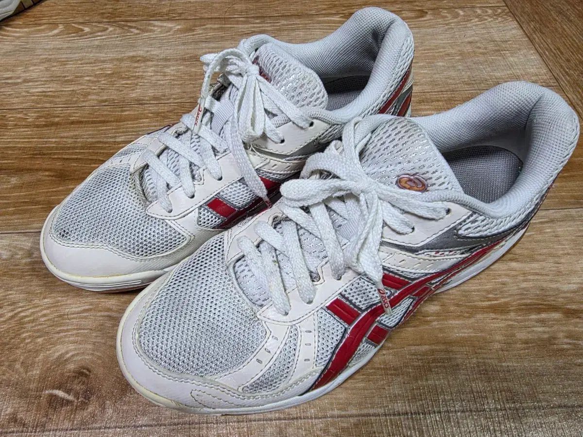 アシックス ローテリブレ 紅白 255