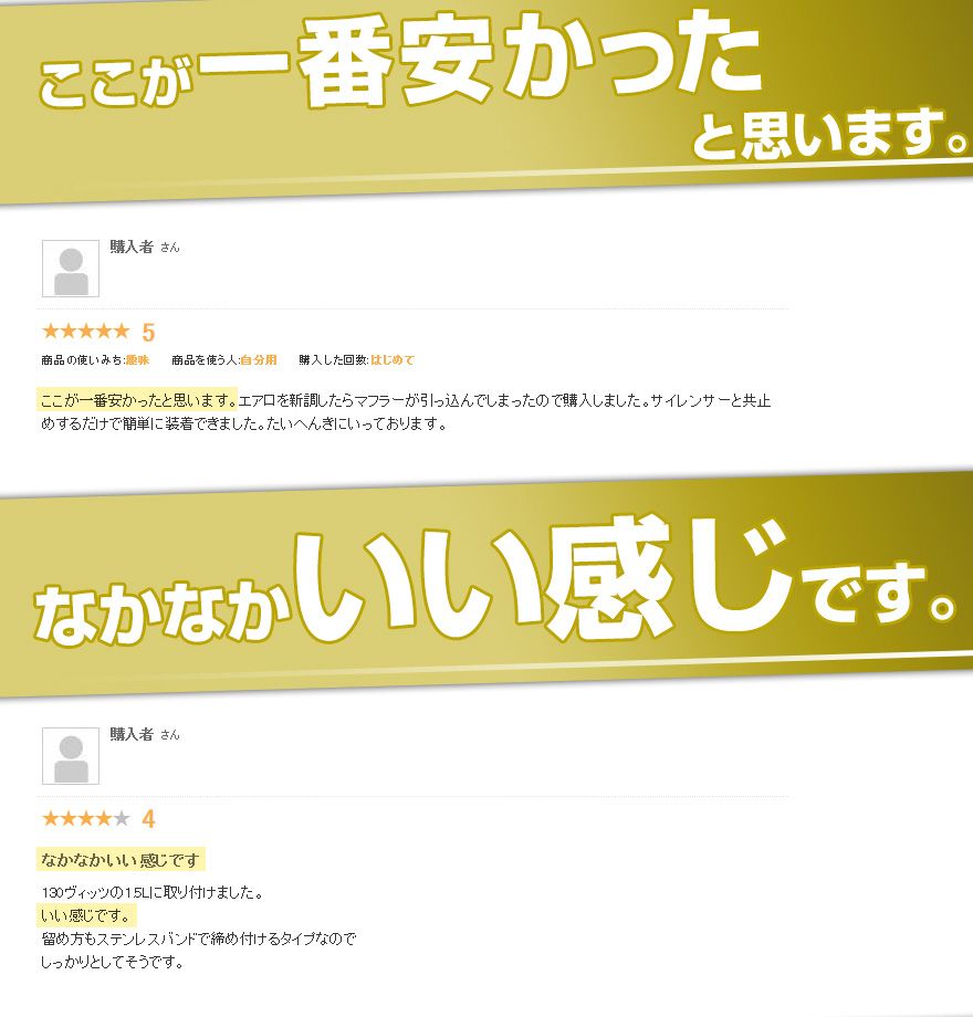 マフラーカッター ヴェロッサ 2本出し 下向き シルバー AX400 汎用