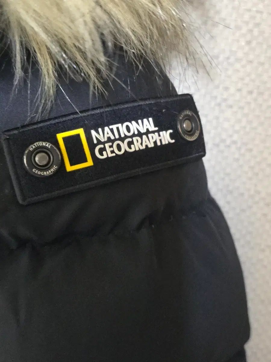 ナショナルジオグラフィック