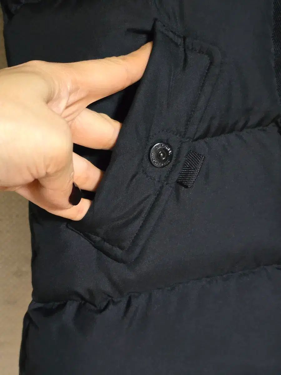 ナショナルジオグラフィック グース