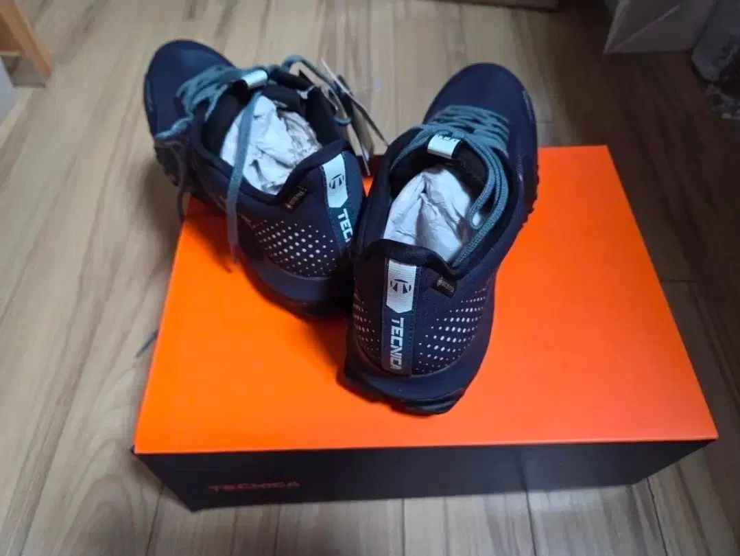 テックニカ登山靴GTX