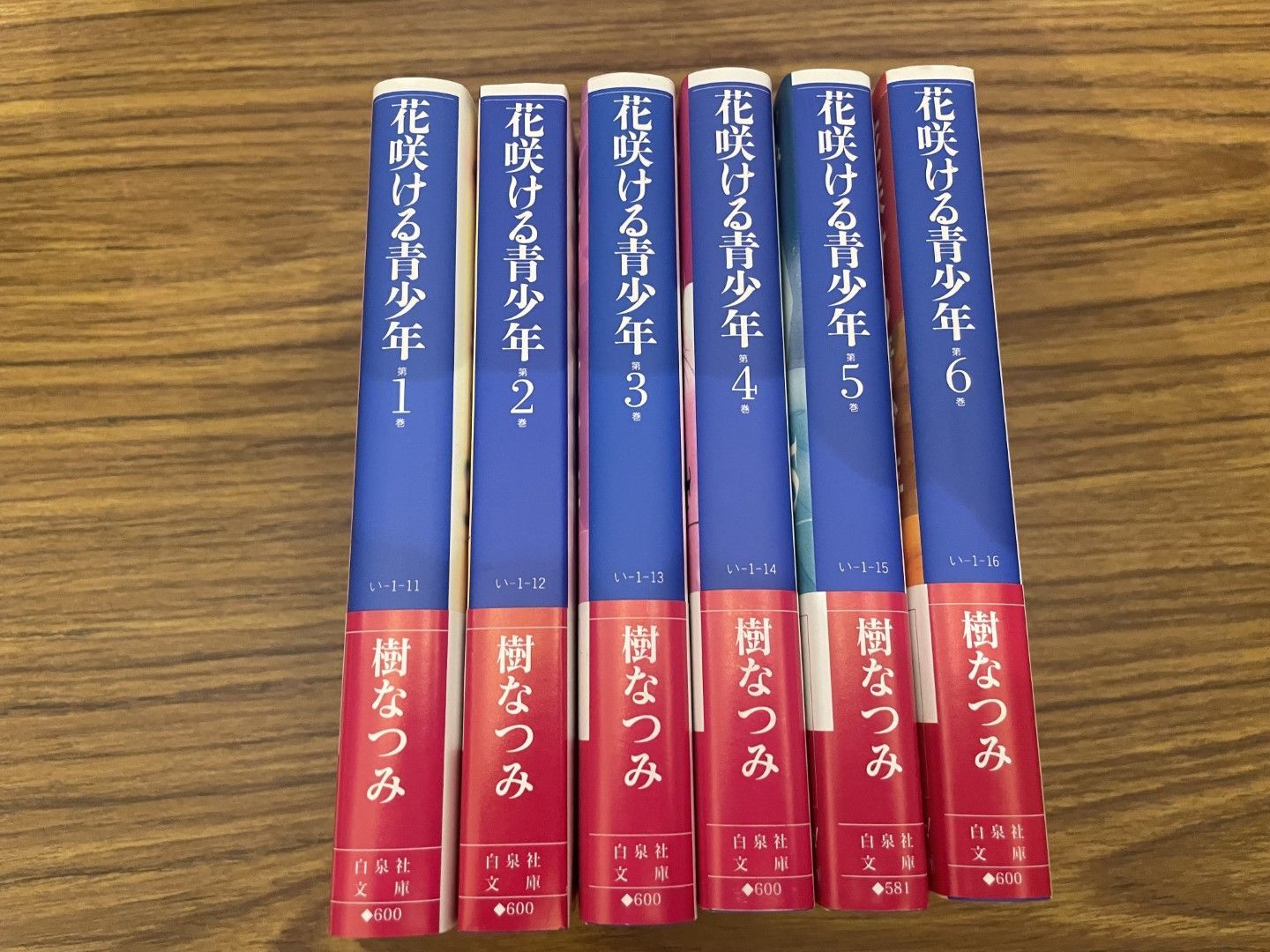 文庫版 花咲ける青少年 全6巻セット 樹なつみ 全巻セット - メルカリ